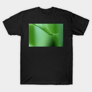 In To The Green T-Shirt